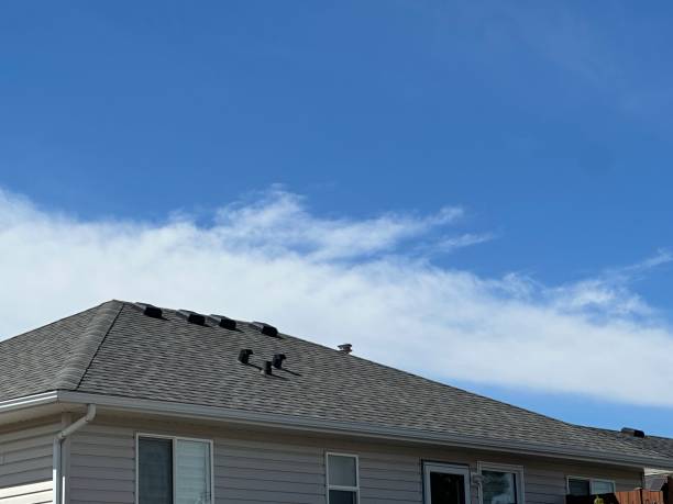 Best Roof Coating and Sealing  in Hillsboro, WI
